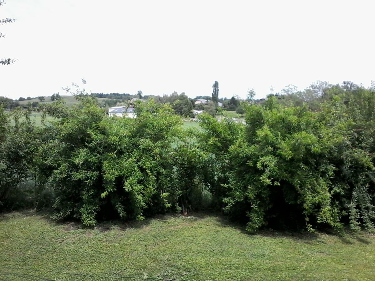 Les Haies Vives Homestay Choisy